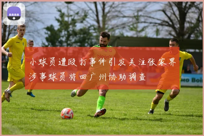 小球员遭殴打事件引发关注张家界涉事球员将回广州协助调查